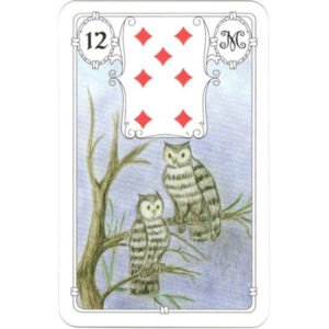 Mlle Lenormand - White Owl | Carta 12