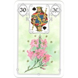 Mlle Lenormand - White Owl | Carta 30