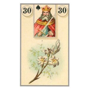 French Cartomancy | Carta 30