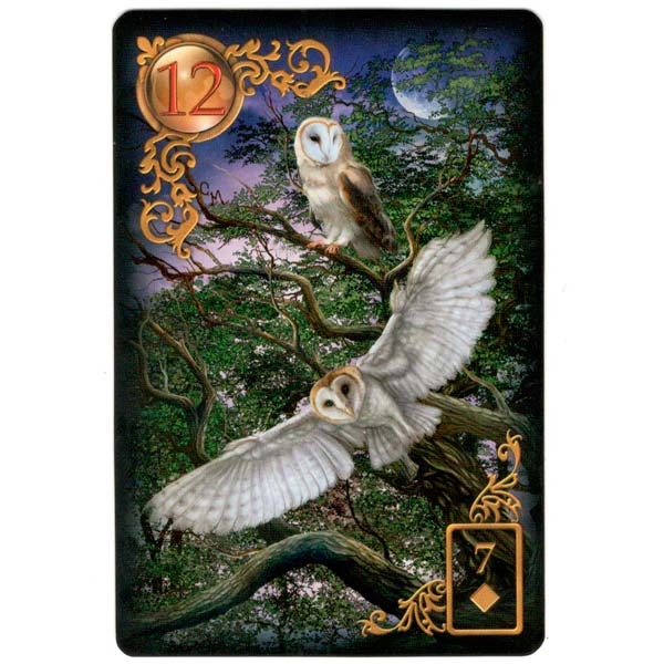 Gilded Reverie Lenormand - Expanded Edition | Carta 12