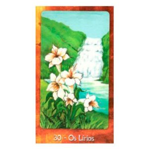 Tarô Cigano | Carta 30